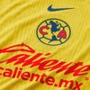 Director del Club América 24/25