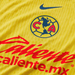 Director del Club América 24/25