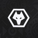 Porteros de los Wolves 25/26
