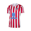 Atlético de Madrid Principal 25/26