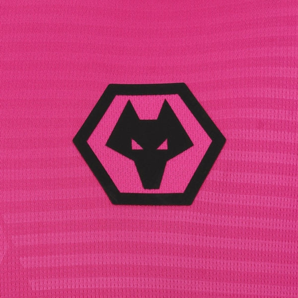Porteros de los Wolves 25/26
