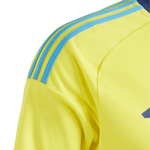 Suecia Local 24/25 - Eurocopa 2024