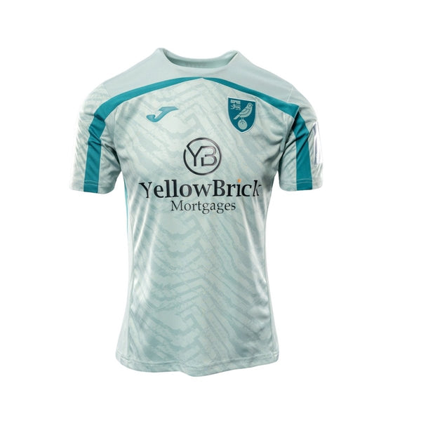 Previa del Norwich City F.C. 25/26