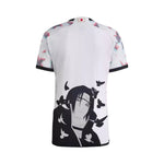 Edición especial de Japón 24/25