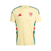 Gales Alternativa 24/25 – Eurocopa 2024