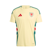 Gales Alternativa 24/25 – Eurocopa 2024