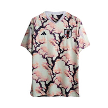 Japão Edição Especial 24/25