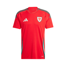 Gales Local 24/25 – Eurocopa 2024