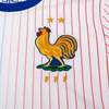 Francia Alternativa 24/25 - Eurocopa 2024