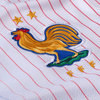 Francia Alternativa 24/25 - Versión Femenina - Eurocopa 2024