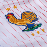 Francia Alternativa 24/25 - Versión Femenina - Eurocopa 2024
