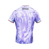 Alternativa del Sheffield Wednesday 25/26