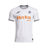 Swansea City Local 25/26