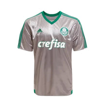 Alternativa Palmeiras 15/16