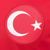 Alternativa Türkiye 24/25 - Eurocopa 2024