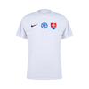 Eslovaquia Alternativa 24/25 - Eurocopa 2024