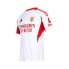 Benfica Tercera 25/26