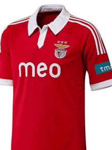 Benfica 2012/13