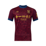 Alternativa del Ipswich Town FC 24/25