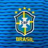 Alternativa Brasil 24/25 - Copa América 2024