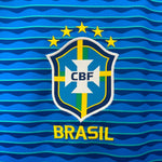 Alternativa Brasil 24/25 - Copa América 2024