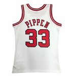 Chicago Bulls 1997-98