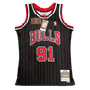 Toros de Chicago 1995-96