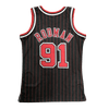 Toros de Chicago 1995-96