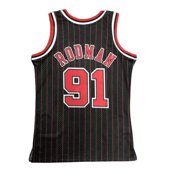 Toros de Chicago 1995-96