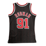 Chicago Bulls 1995-96