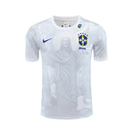 Edición Especial Brasil 24/25