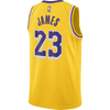 Edición Ícono de Los Ángeles Lakers 23-2024