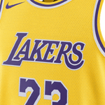 Los Angeles Lakers Icon Edition 23-2024