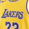 Edición Ícono de Los Ángeles Lakers 23-2024